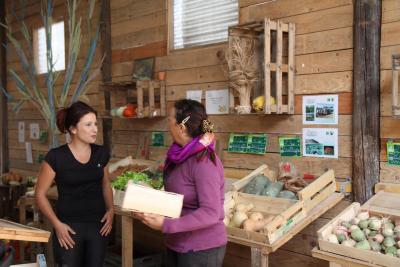 Illustration L'Atelier et Chantier d'Insertion les jardins d'IDéES